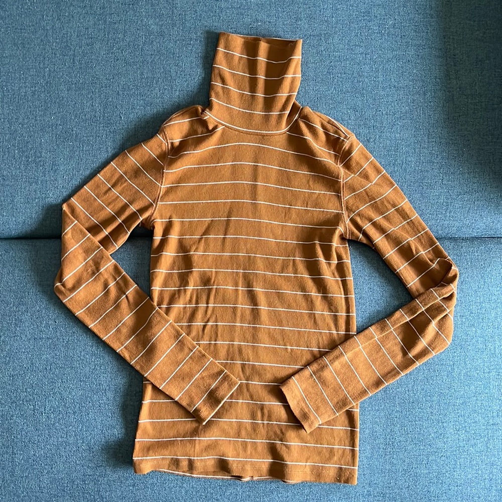 Everlane Pima Cotton Turtleneck